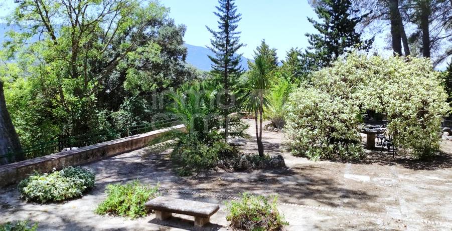 Te koop - Finca - Alcoy