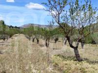 For sale - Rustic Land - Penáguila