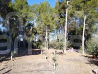 Te koop - Landhuis - Ontinyent