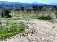 Venta - Finca - Alcocer de Planes