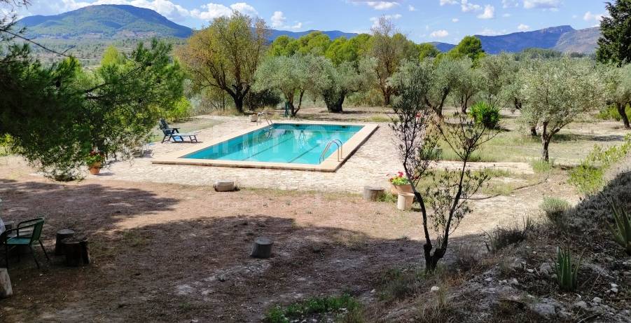 Venta - Finca - Millena