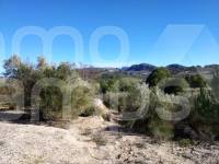 Venta - Parcela Rústica - Benimarfull