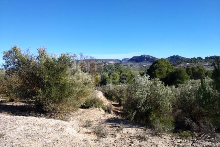 For sale - Rustic Land - Benimarfull