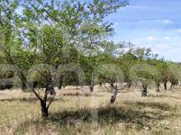 For sale - Rustic Land - Penáguila