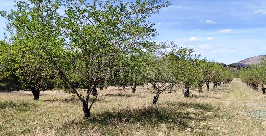 For sale - Rustic Land - Penáguila