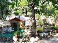 For sale - Finca - Alcoy