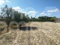 Te koop - Finca - Ontinyent