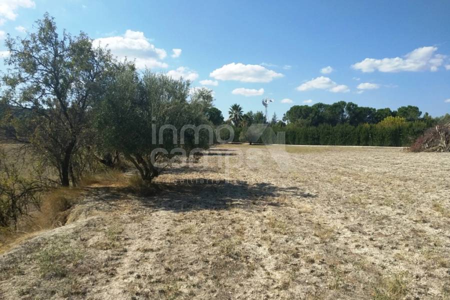 Te koop - Finca - Ontinyent