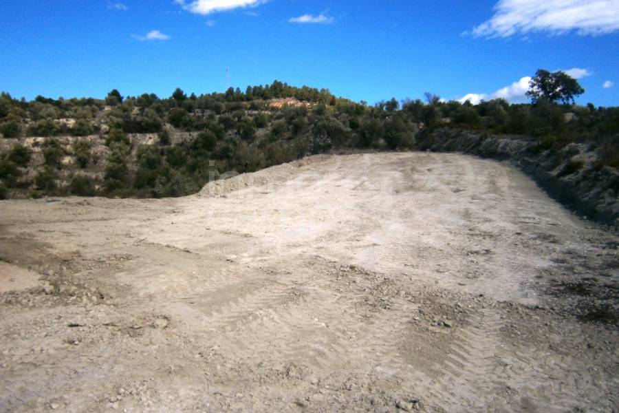 Obra Nueva - Casa de Campo - Planes