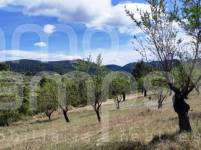 For sale - Rustic Land - Penáguila