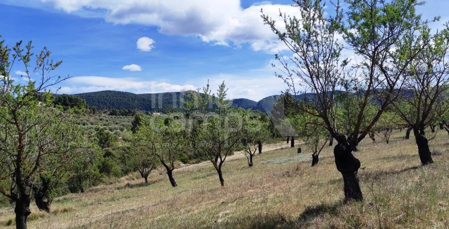 For sale - Rustic Land - Penáguila