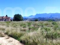 Te koop - Finca - Albaida