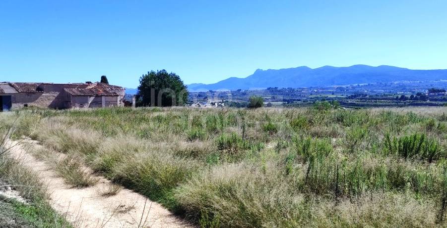 Te koop - Finca - Albaida