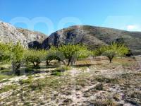 For sale - Finca - Ontinyent