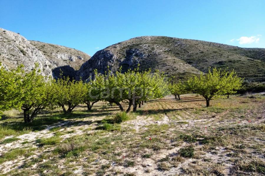 For sale - Finca - Ontinyent