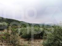 Venta - Casa de Campo - Vall de Gallinera - Alpatró