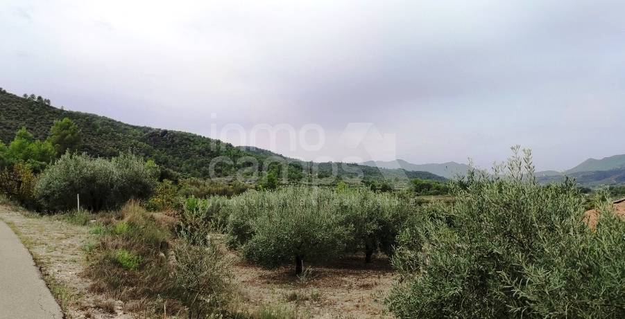 Venta - Casa de Campo - Vall de Gallinera - Alpatró