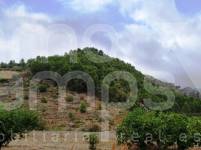 For sale - Urban Plot - Lorcha