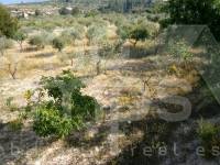 Te koop - Landhuis - Cocentaina