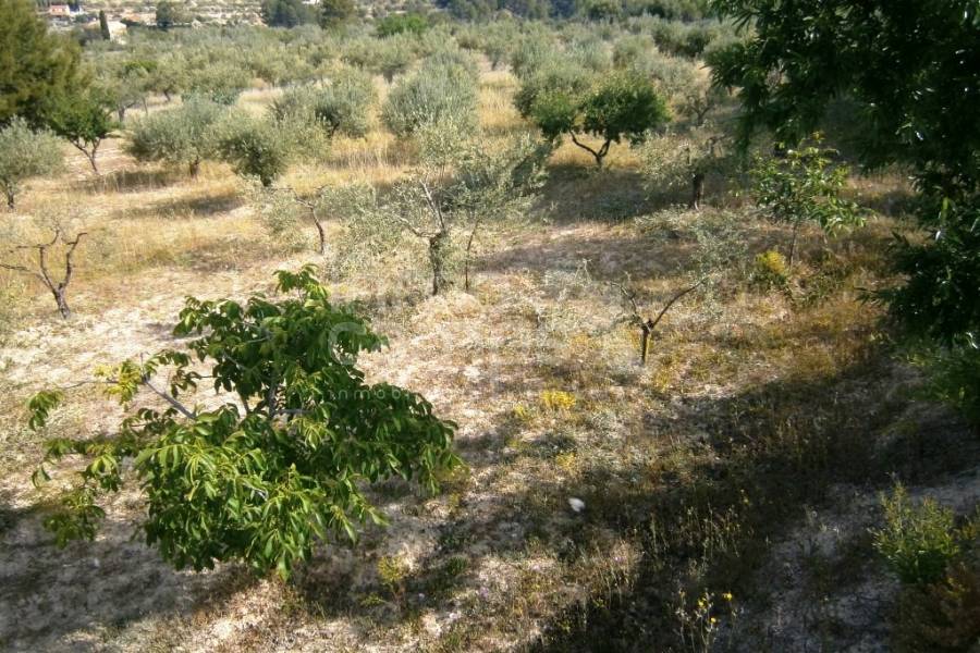 Te koop - Landhuis - Cocentaina