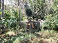 Venta - Casa de Campo - Villalonga