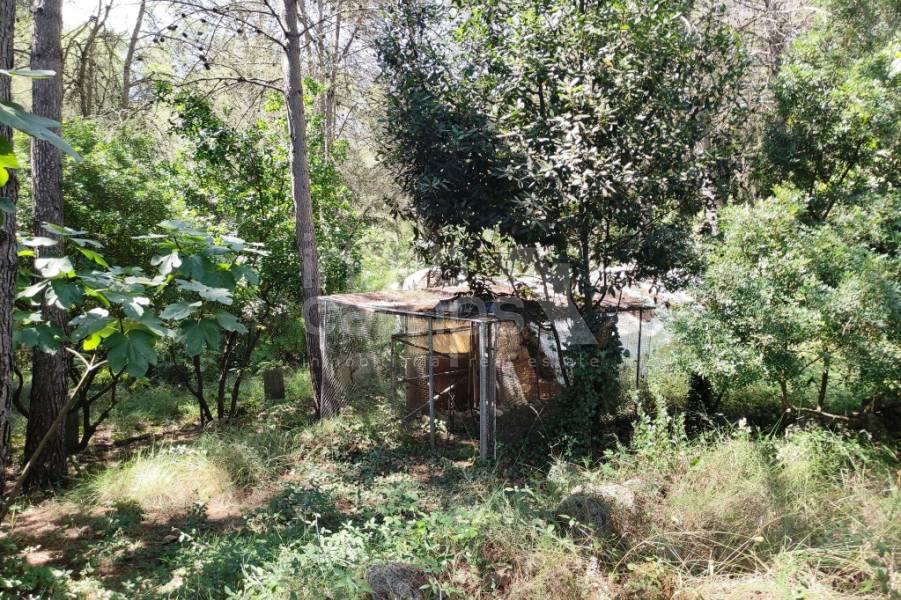 Venta - Casa de Campo - Villalonga