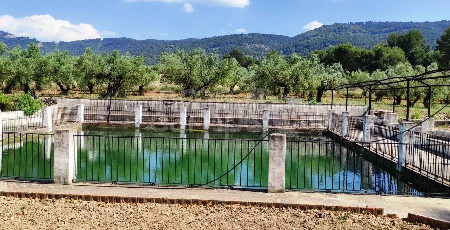 For sale - Finca - Bocairent