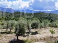 For sale - Finca - Millena