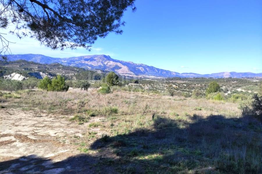 Te koop - Landhuis - Benilloba