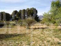 Te koop - Landhuis - Alcocer de Planes