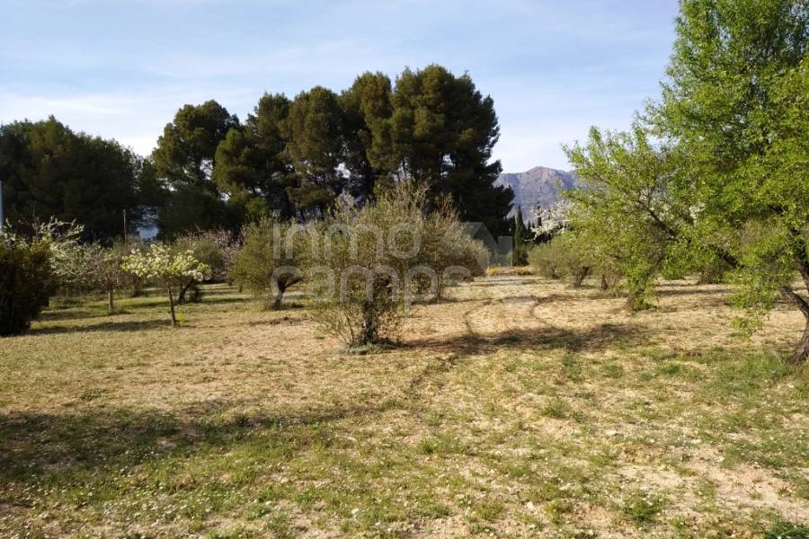 Te koop - Landhuis - Alcocer de Planes