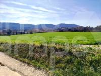 For sale - Finca - Alfafara