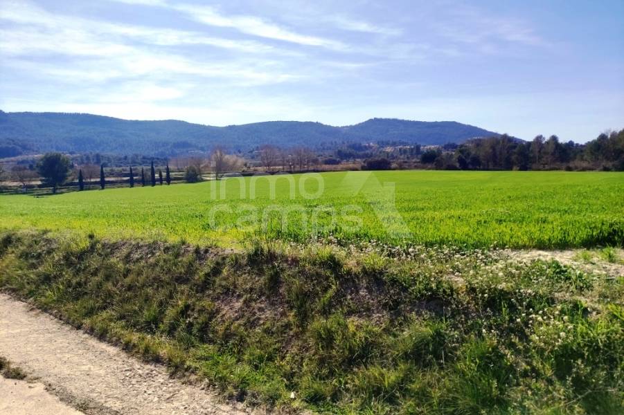 For sale - Finca - Alfafara