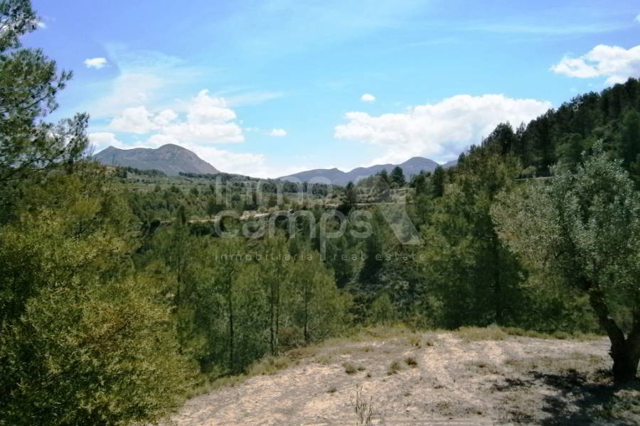 Venta - Casa de Campo - Penáguila