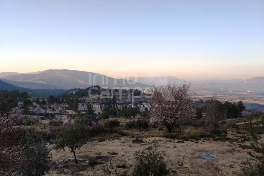 For sale - Rustic Land - Benifallim