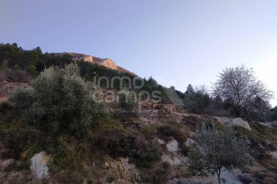 For sale - Rustic Land - Benifallim