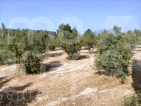 For sale - Country House - Penáguila