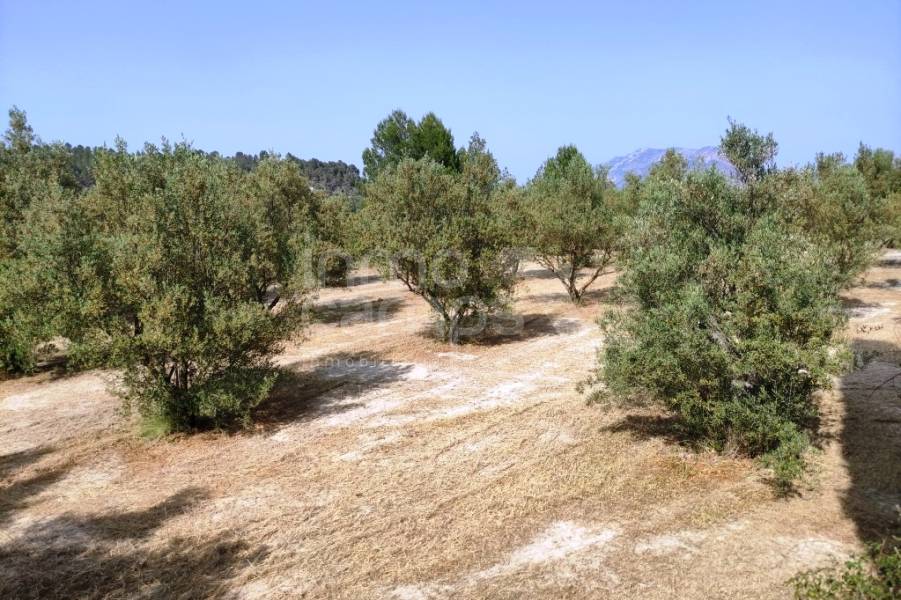 For sale - Country House - Penáguila