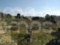 Venta - Casa de Campo - Muro de Alcoy
