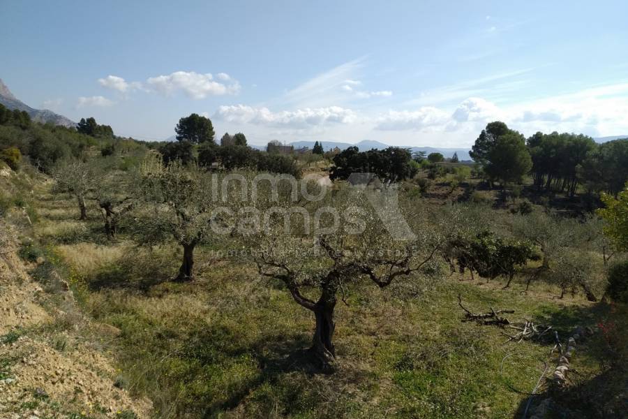 Venta - Casa de Campo - Muro de Alcoy