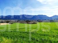 For sale - Finca - Alfafara