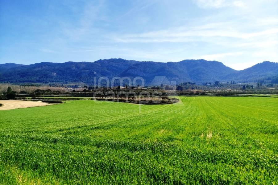 For sale - Finca - Alfafara