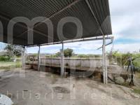 Te koop - Landhuis - Albaida