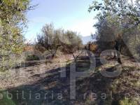 For sale - Rustic Land - Benimarfull