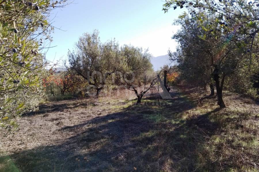 For sale - Rustic Land - Benimarfull