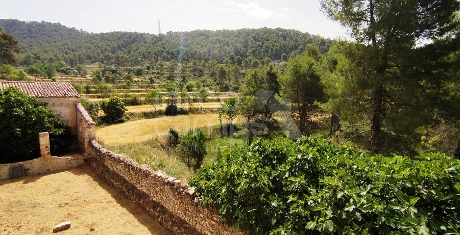 Venta - Finca - Alcoy