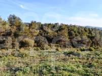 For sale - Finca - Bocairent