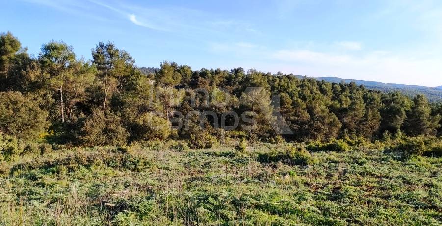 For sale - Finca - Bocairent