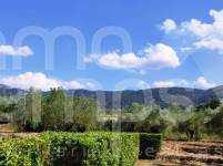 For sale - Finca - Bocairent