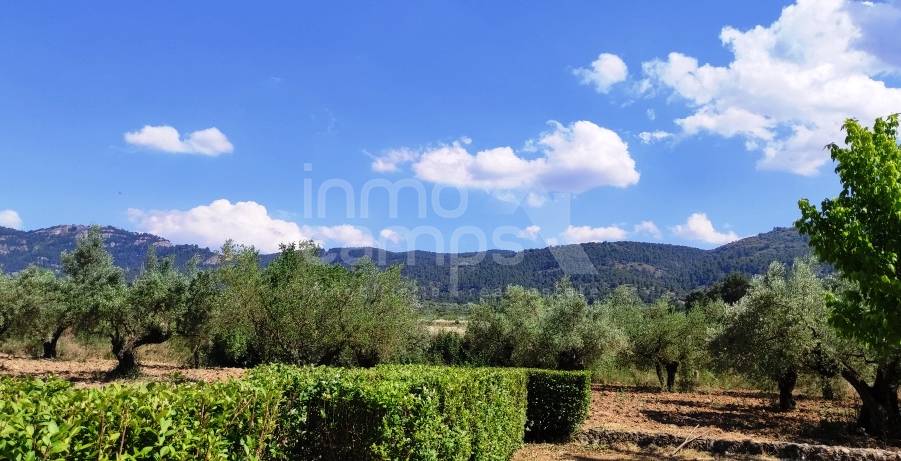For sale - Finca - Bocairent